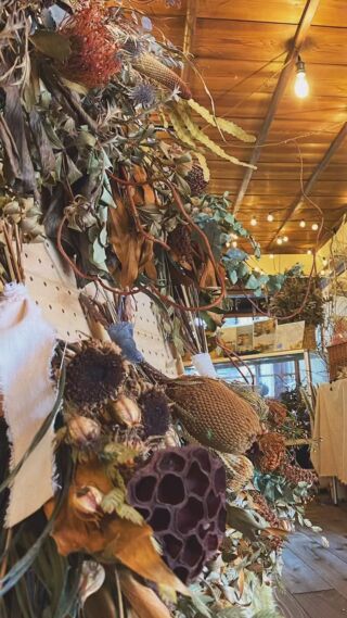 徳島県美馬市｜SAKAZUKI BOTANICAL｜ドライフラワー販売｜店内装飾